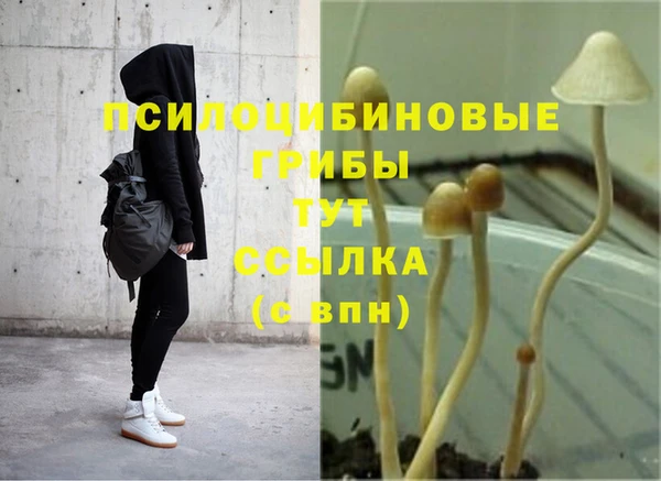 сатива Балабаново