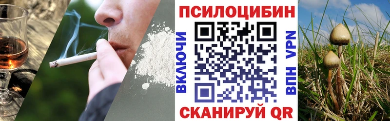 Галлюциногенные грибы Magic Shrooms Салаир